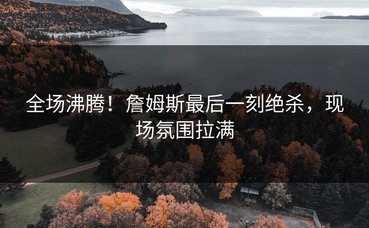 全场沸腾!詹姆斯最后一刻绝杀,现场氛围拉满