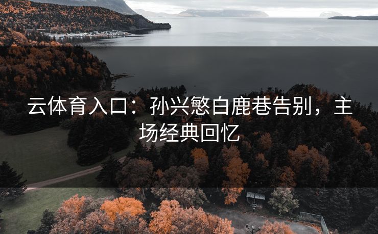 云体育入口：孙兴慜白鹿巷告别，主场经典回忆