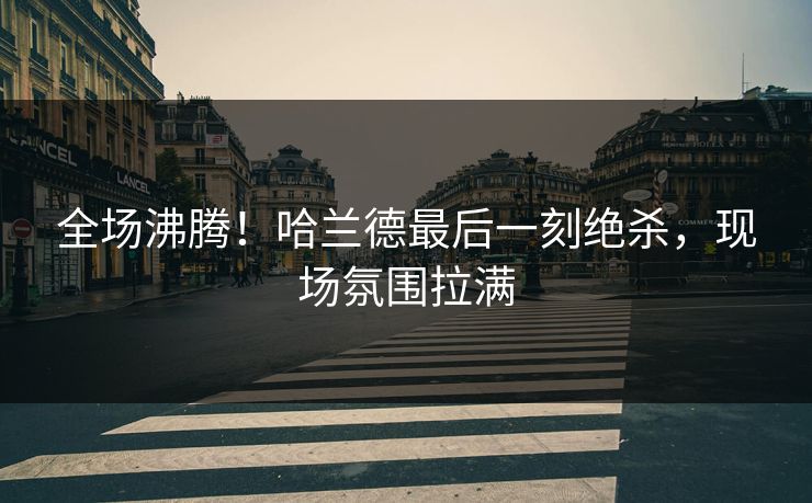 全场沸腾!哈兰德最后一刻绝杀,现场氛围拉满